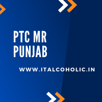 PTC Mr Punjab 2023 