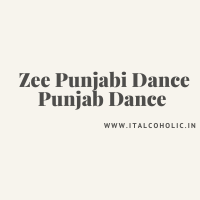 Zee Punjabi Dance Punjab Dance 2024