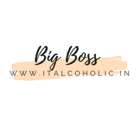 Big Boss Contestant List 2024 